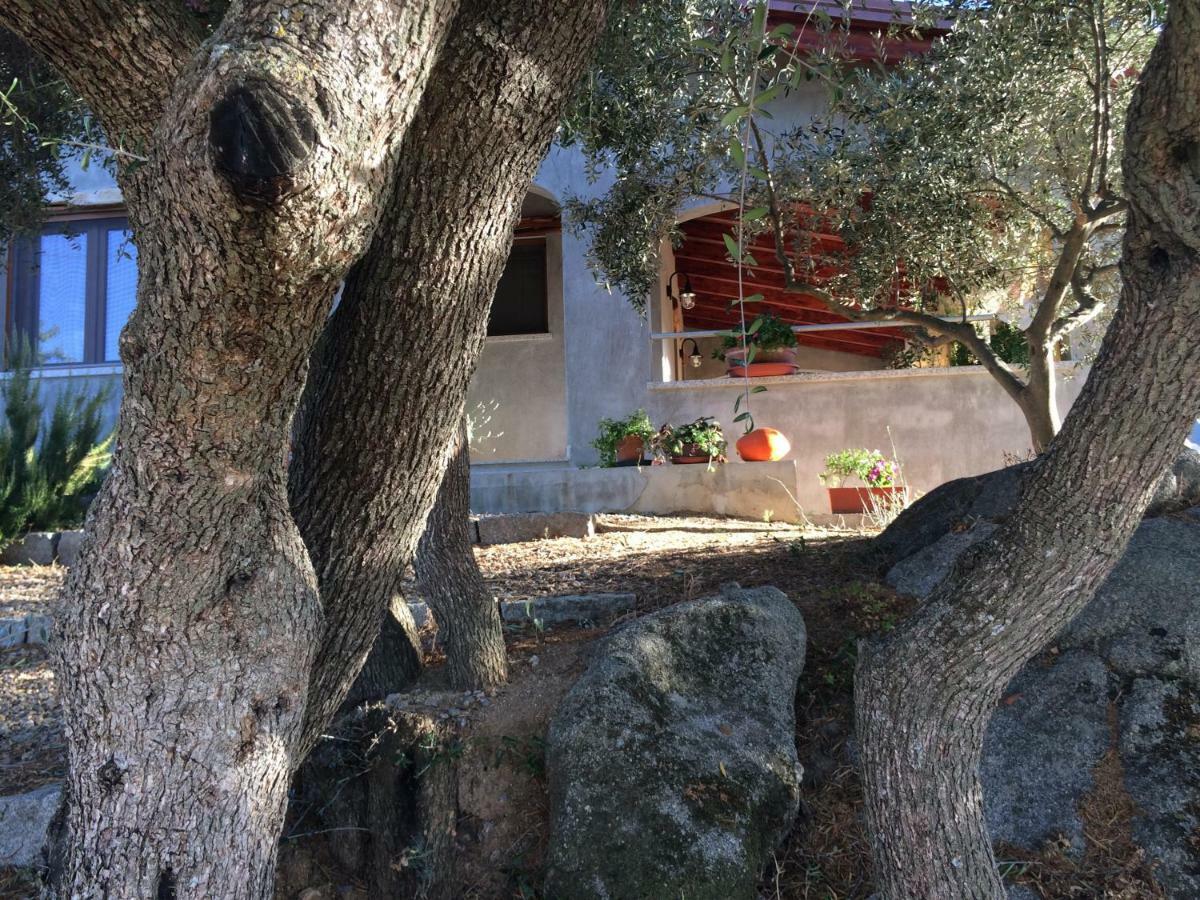 S'Umbra De S'Ozzastru Villa Orgosolo Eksteriør bilde