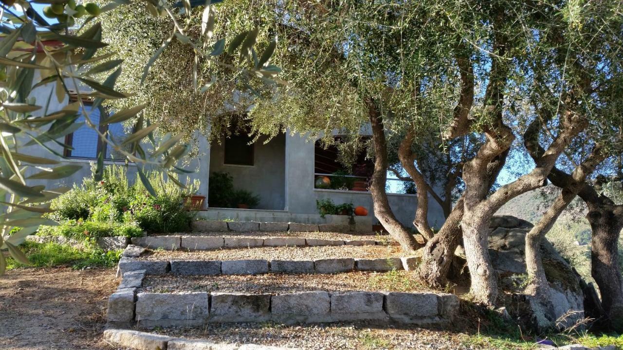 S'Umbra De S'Ozzastru Villa Orgosolo Eksteriør bilde
